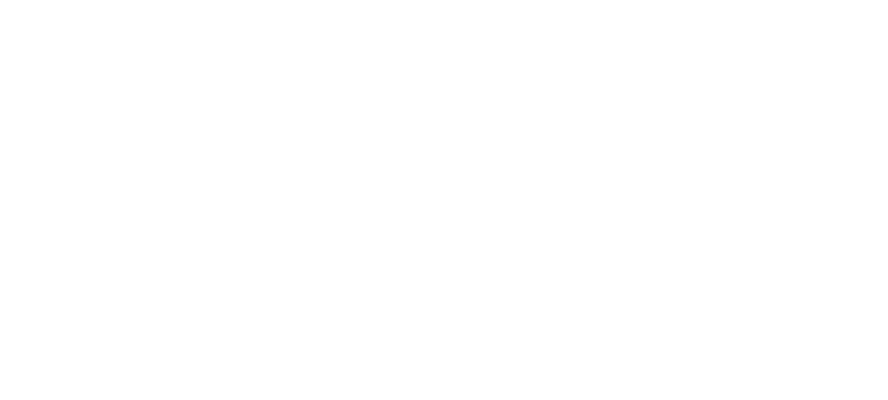 Prosystem